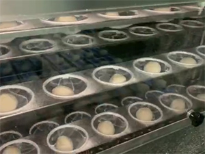 Bola de masa en reposo